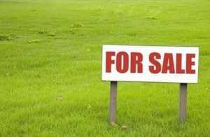 A Vacant Virgin Land Along Gbagada Road  800 Meter Square of Land for Sale Gbagada Lagos Vetra  Property