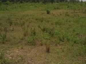 3 Plots Of Dry Land 3 Plots of Land for Sale Surulere Lagos Vetra  Property