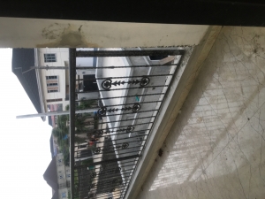 Image 1 Title