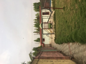 Image 1 Title