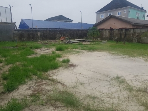 745 Sqm Fenced Land By Lagos Business School, Abraham Adesunya 745 Meter Square of Land for Sale Ajah Lagos Vetra  Property