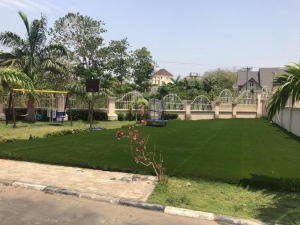 Image 1 Title