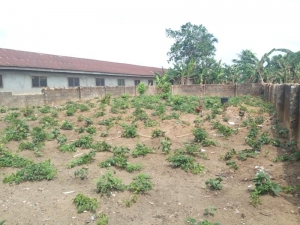 1 Plot Of Land 1 Plot of Land for Sale Port Harcourt Rivers Vetra  Property