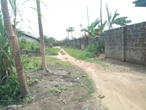 Image 1 Title