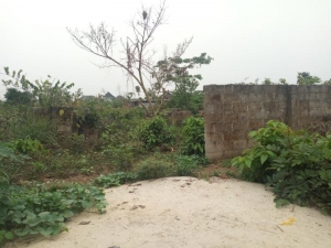 Image 1 Title