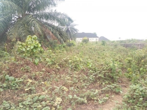 Image 1 Title