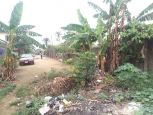 Image 1 Title