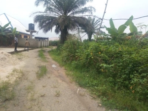 Image 1 Title