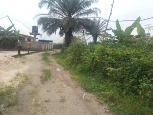Image 1 Title