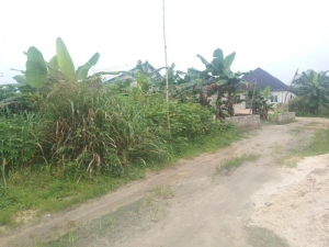 Image 1 Title
