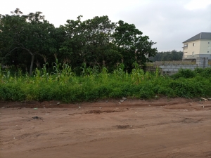 Plot Of Land  1,122 Meter Square of Land for Sale Jahi Abuja Vetra  Property