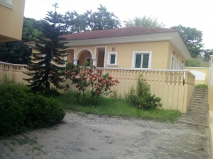 Image 1 Title