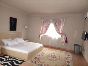 Furnished 2bedroom Flat For Rent Asokoro 2 bedroom Blocks of Flats for Rent Asokoro Abuja Vetra  Property