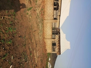 Image 1 Title
