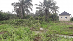 Land For Sale 2 Acres of Land for Sale Ipaja Lagos Vetra  Property