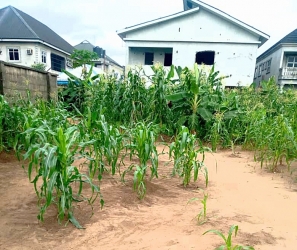  1 And Half Plot Of Partly Fenced Land In Psychiatric Road For Sale 2 Plots of Land for Sale Port Harcourt Rivers Vetra  Property