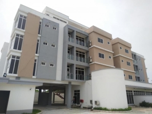 Image 1 Title