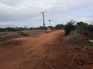 Bareland At At Homeland Beach Estate Ibeju Lekki.  Land for Sale Ibeju Lekki Lagos Vetra  Property