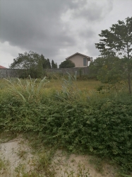 Image 1 Title