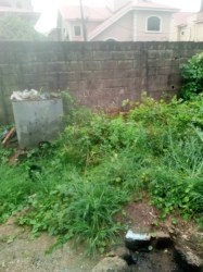 Image 1 Title