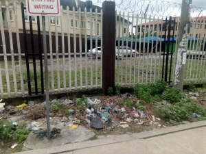 Image 1 Title