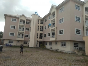 Image 1 Title
