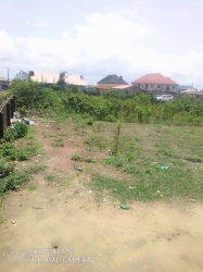 C Of O:-1 Acre Of Land  Land for Sale Ikorodu Lagos Vetra  Property