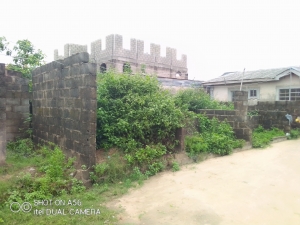 Image 1 Title