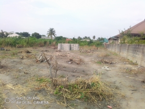 A Full Plot Of Land Along Igbogbo Bayeku Road (macaulay Bus Stop) 1 Plot of Land for Sale Ikorodu Lagos Vetra  Property