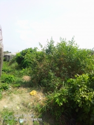 Governor's Consent,survey:-a Full Plot Of Land 1 Plot of Land for Sale Ikorodu Lagos Vetra  Property
