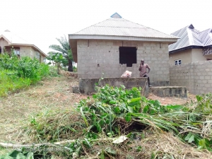2 Units Of Room And Parlour Self Con On Half Plot Of Land 2 bedroom Flat for Sale Ikorodu Lagos Vetra  Property