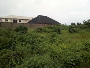 Survey & Family Receitp:a Full Plot Of Landing Facing Major Road 1 Plot of Land for Sale Ikorodu Lagos Vetra  Property