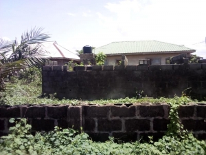 Image 1 Title