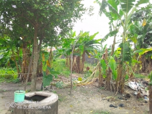 Deed Of Agreement, Family Receipt:2 Plots On A Spot With Fence 2 Plots of Land for Sale Ikorodu Lagos Vetra  Property