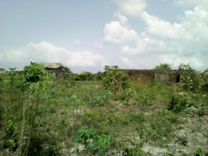 Image 1 Title