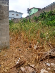 Approximately 550sqm Dry Land 550 Meter Square of Land for Sale Kosofe Ikosi Lagos Vetra  Property