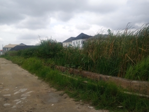600sqm Bareland 600 Meter Square of Land for Sale Ogudu Lagos Vetra  Property