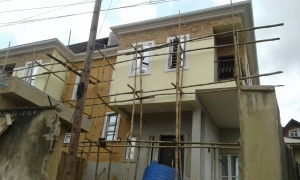 Image 1 Title