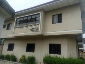 5 Bedrooms Detached Duplex 5 bedroom Detached Duplex for Sale Lekki Lagos Vetra  Property
