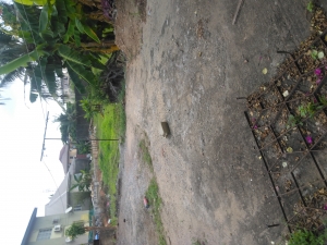 Image 1 Title