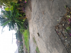Image 1 Title