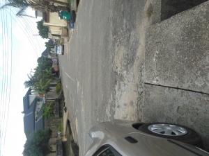 Image 1 Title