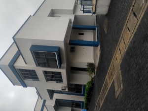 Brand New 4 Bedrooms Detached Duplex 4 bedroom Detached Duplex for Sale Ikoyi Lagos Vetra  Property
