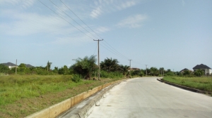 Image 1 Title
