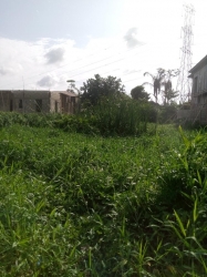One Plot Of Land.. 1 Plot of Land for Sale Ajah Lagos Vetra  Property