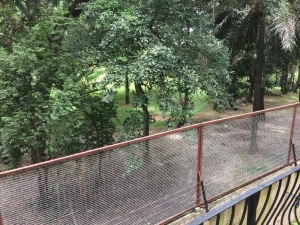 Image 1 Title
