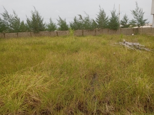 Distress Sale Of 2 Plots Of Gazeeted Land  2 Plots of Land for Sale Ajah Lagos Vetra  Property