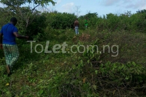 Massive Acres Of Land For Sponsorship At Eleranigbe 1 Plot of Land for Sale Ibeju Lekki Lagos Vetra  Property