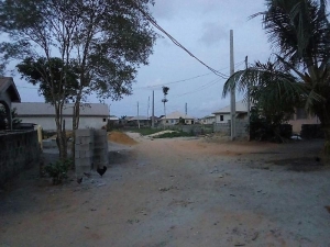 Image 1 Title