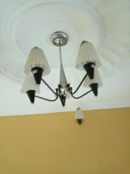 Image 1 Title